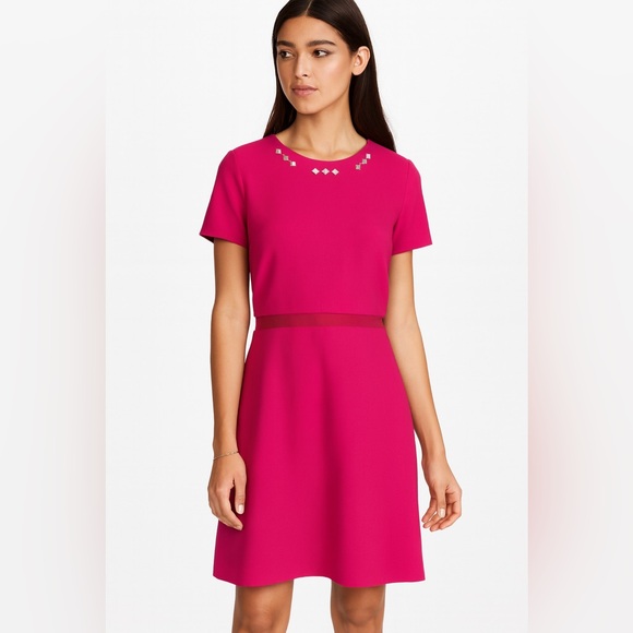 CeCe By  Cynthia Steffe Women’s Hot Pink Mesh Barbiecore Dress Size 2 Feminine - Picture 1 of 12